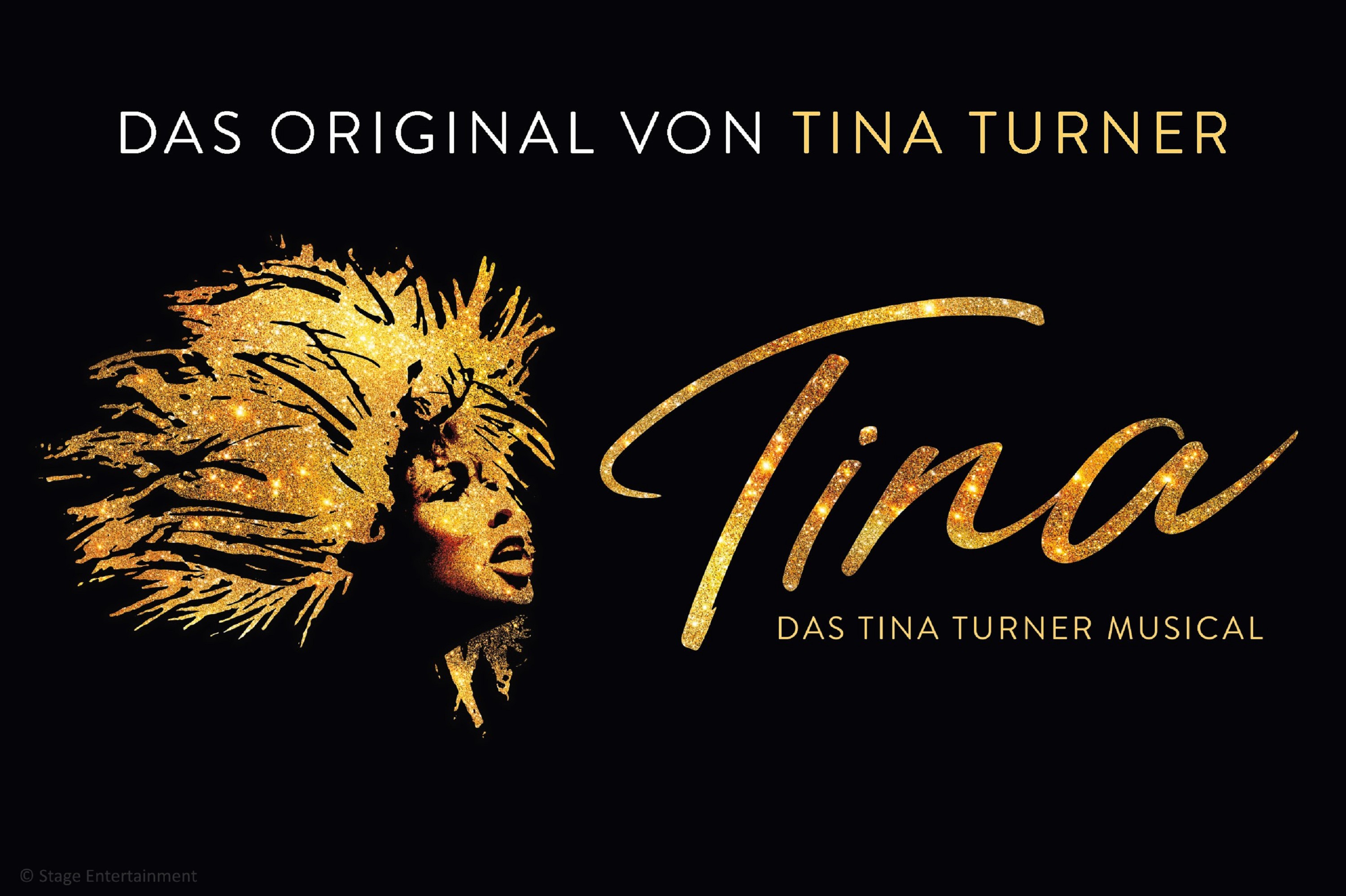 Concert 2 Tina - Das Tina Turner Musical 