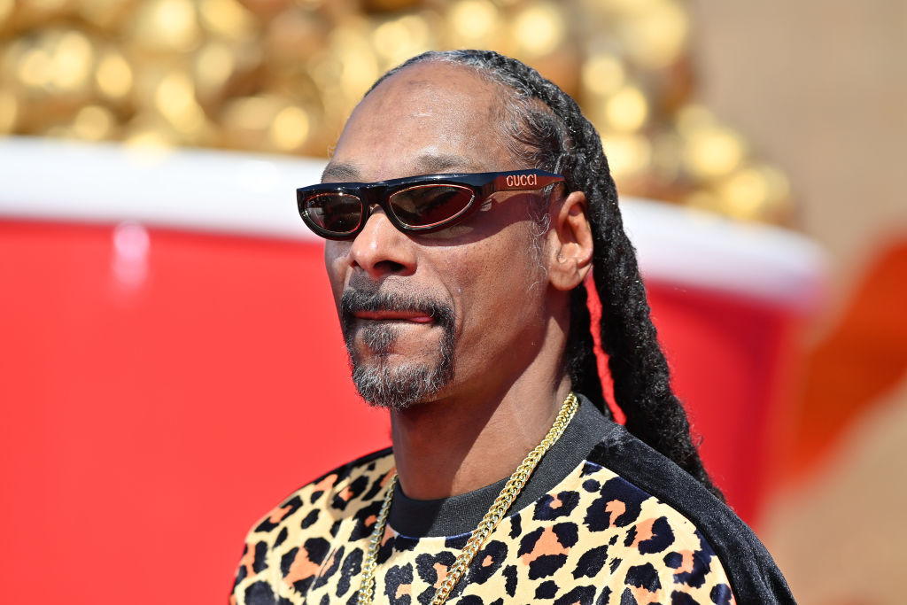 Snoop Dogg Tour